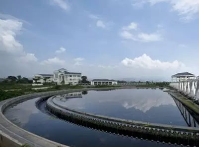 污水處理繁榮假象的背后